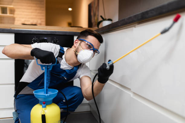 Best Wasp Removal Services  in Red Chute, LA