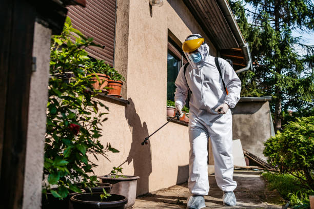 Pest Prevention Services in Red Chute, LA
