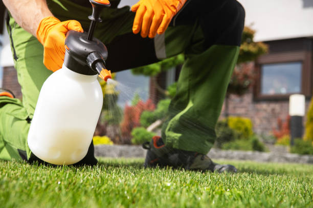 Best Best Pest Control Companies  in Red Chute, LA