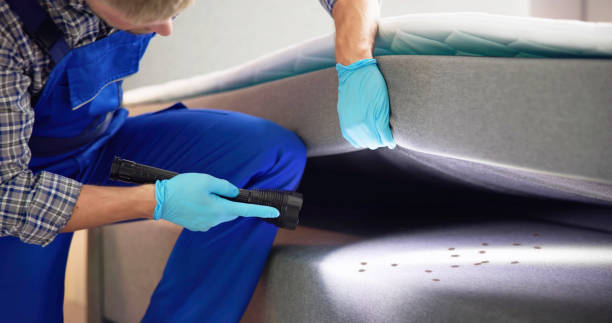 Best Pest Control Near Me  in Red Chute, LA