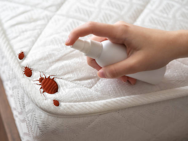 Best Pest Inspection Near Me  in Red Chute, LA